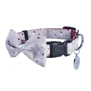 CPDOTS_13_010