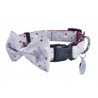 CPDOTS_13_020