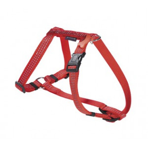 HCSAFE_81_010