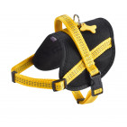 HESAFE_21_008