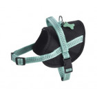 HESAFE_62_020