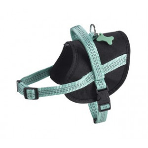 HESAFE_62_025