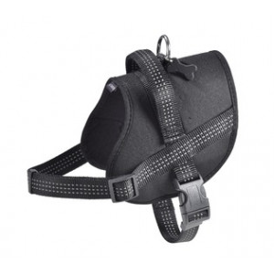 HESAFE_99_008