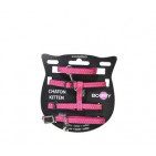 HKSAFE_47_000