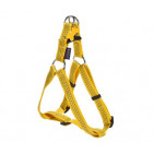 HNSAFE1_21_025