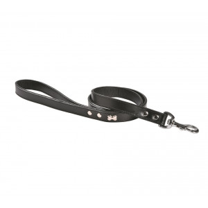 LSSOUP_99_012