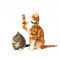 TT-ReflCatCol-Moss