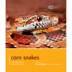 5040