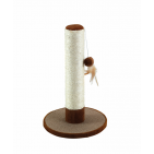 CS1