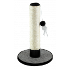 CS2