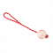 R305