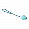 R305