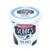 Vanilla Flavoured ice cream